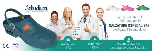 Nuovo_articolo_STUDIUM