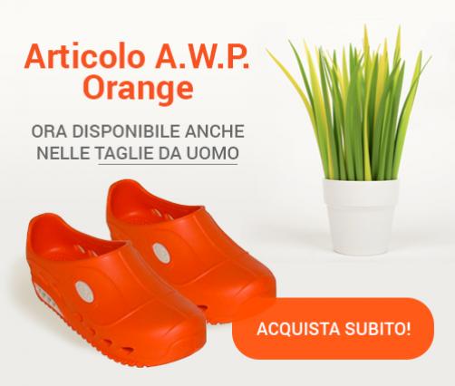 Novita_per_l_articolo_A_W_P_Orange