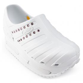 elevate-luxury-white-rose